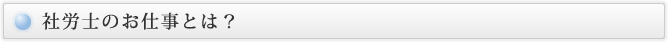 社労士のお仕事とは？