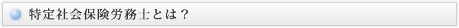 特定社会保険労務士とは？