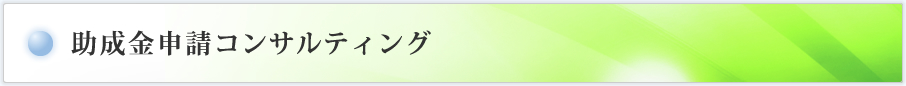 助成金申請コンサルティング
