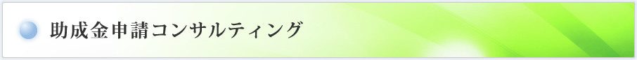 助成金申請コンサルティング