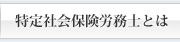 特定社会保険労務士とは